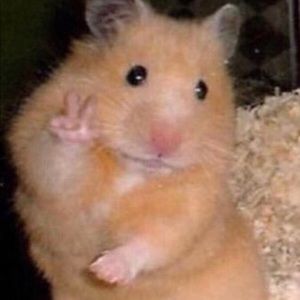 Meet your Posher, Stella